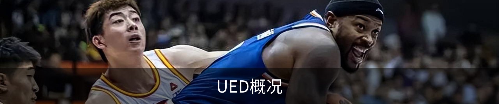 UED概况